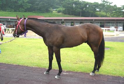 �ǰ� ����