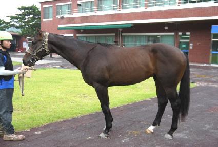 ������Ÿ ����