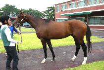 �÷θ���Ư�� (FLORIDA TEUKGEUP) ����