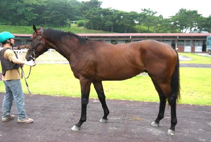 �������� ����