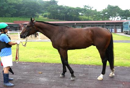 ���ø� ����