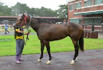 ��䷹�� (RAGIN REBEL) ����