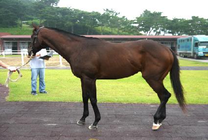 �����巡�� ����