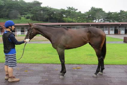 ŷ���ε� ����