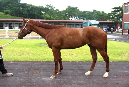 ��Ÿ ����