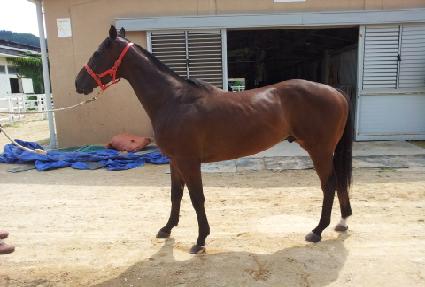 õ������ ����