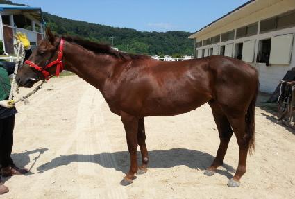 �������� ����