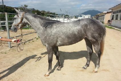 ���� ����