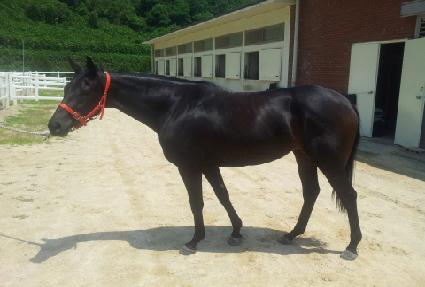 ���Ÿ�̰� ����