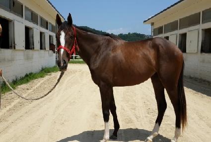 ������Ʈ�۱� ����