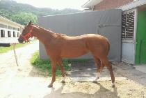 ���츮�� (NAURYZ) ����