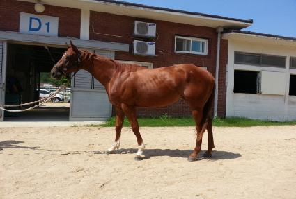 ���̵���ġ ����