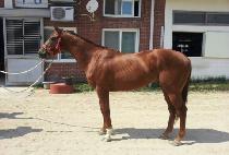 ���������� (OWEN��S FORTUNE) ����