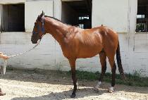 �����ǿ��� (GANGJAUIYEONGGWANG) ����