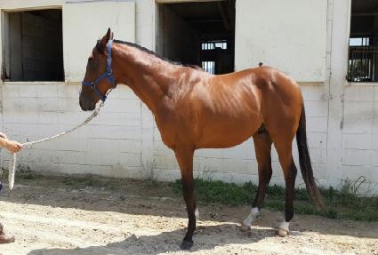 �����ǿ��� ����