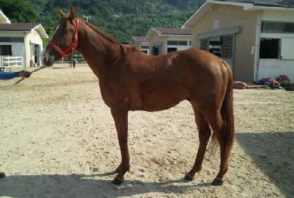 �߾�è�� ����