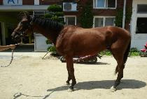 �������� (B K TOP) ����