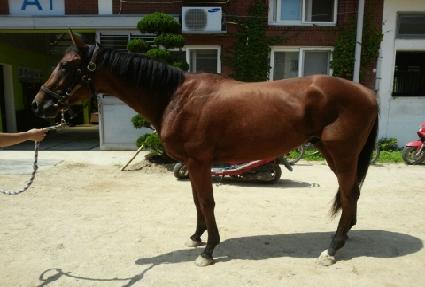 �������� ����