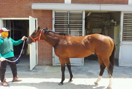 ����è�� ����