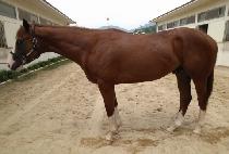 ���ù����� (SEONTAEK BADEUNJA) ����