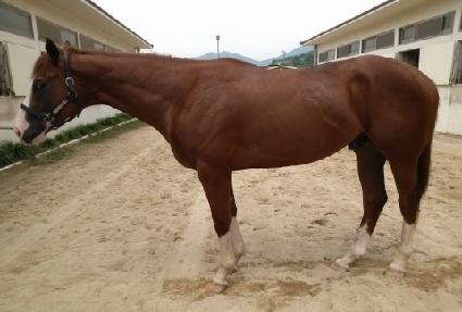 ���ù����� ����