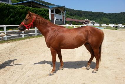 ũ�����÷��� ����