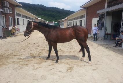 ����õ�� ����