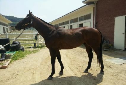 �������� ����