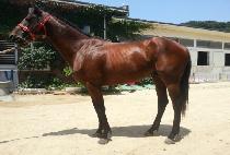 ��¸ӽ� (USEUNG MACHINE) ����