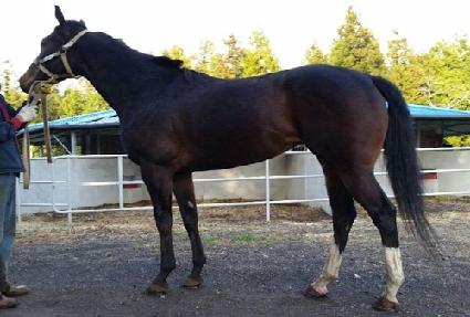 Į�������̵� ����