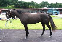 �������� (SAMJEONG BYEORI) ����