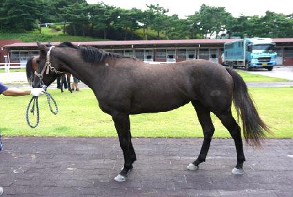 �������� ����