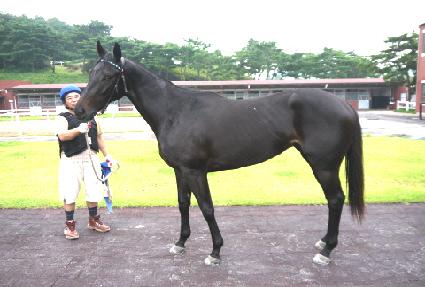 ����Ÿ�̰� ����