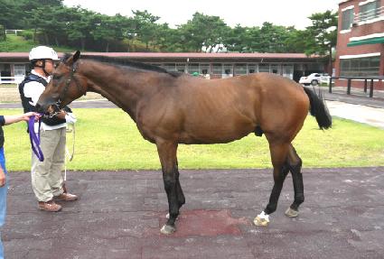 �������� ����