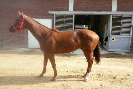 ���ǵ帶���� ����