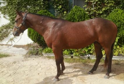 �ͻ�������� ����