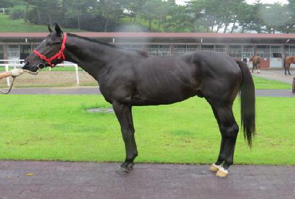 �����屺 ����