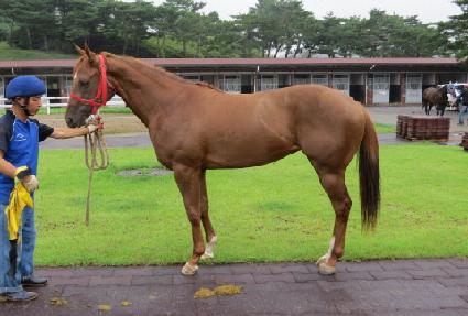 �Ұ��׷� ����