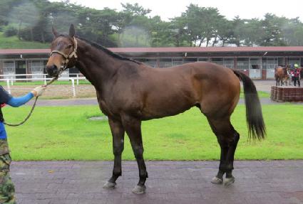 ���Ϸ�Ű ����