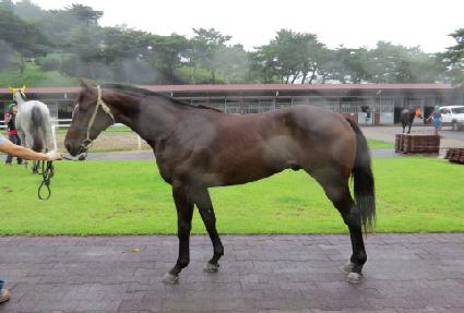 ����¯ ����