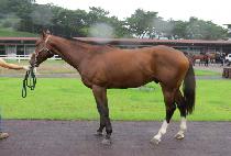 �ð��ʿ� (SIGONG CHOWOL) ����