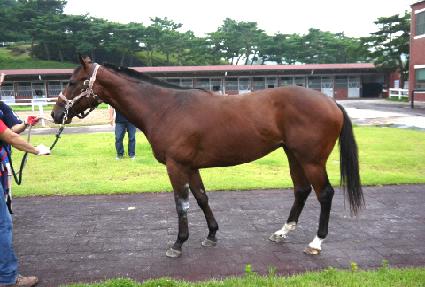 �ְ��߳��� ����