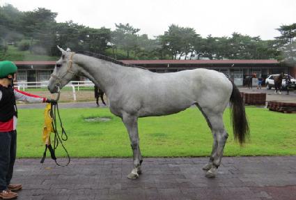 ���Ǿ��� ����