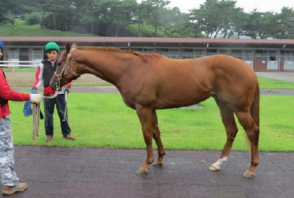 ȫ�ٿ� ����