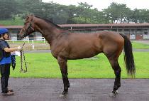 ����ں�� (NOBLE AMBITION) ����