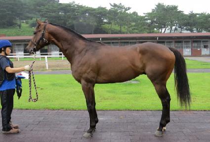 ����ں�� ����