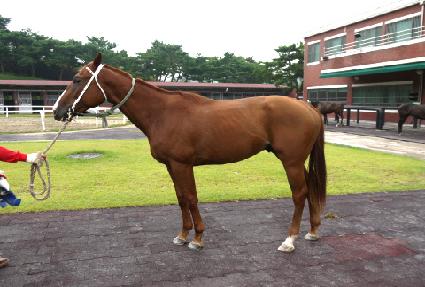 �ұ��Ǳ�� ����