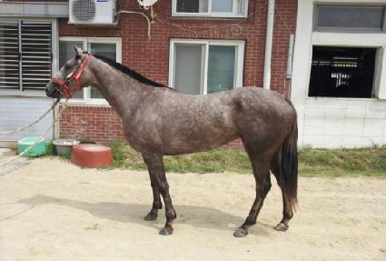 ����ȭ��Ʈ�غ��� ����