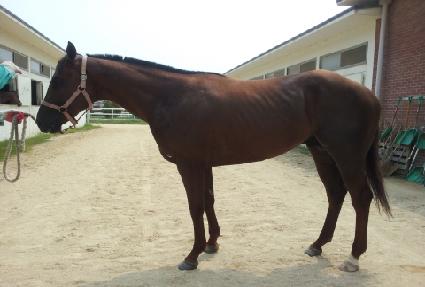 �����̺�� ����