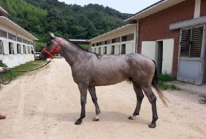 �������ڵ��� ����